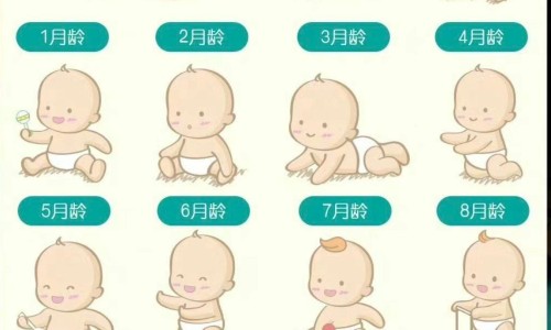 贵阳医学院做试管婴儿可以报销不-贵阳医学院做试管婴儿网 - 贵阳医学院试管价格,贵阳医学院做试管婴儿怎么样
