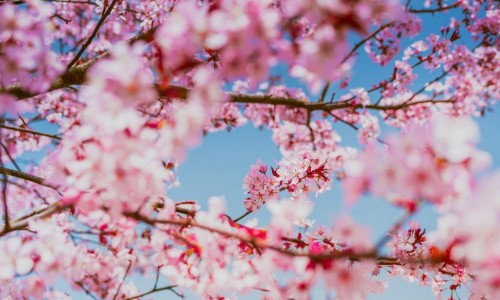 贵阳医学院做试管婴儿可以报销不-贵阳医学院做试管婴儿网 - 贵阳医学院试管价格,贵阳医学院做试管婴儿怎么样